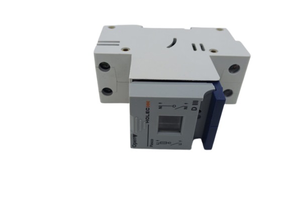 Eaton 1713613 LPC63 Lasttrennschalter 2Pole 50A 230V