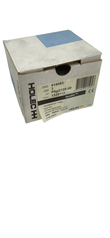 3x Holec HH P5gG125 Kema Keur Sicherung 125V