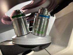 60075_7.jpg 60075_7.jpg