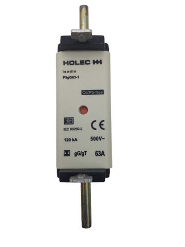 2x Holec HH 105256 P5GG63-1 Smeltpatroon Traag Fuse Link