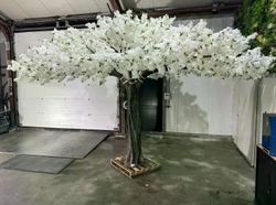 60422_1.jpg 60422_1.jpg