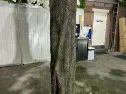 60422_12.jpg 60422_12.jpg