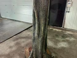 60422_13.jpg 60422_13.jpg