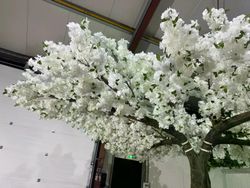 60422_2.jpg 60422_2.jpg