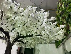 60422_3.jpg 60422_3.jpg