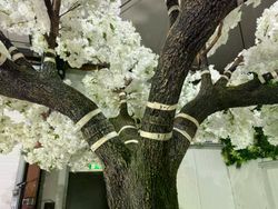 60422_9.jpg 60422_9.jpg