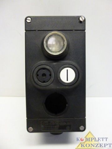 ABB CEAG GHG 4113 Explosionsgeschütztes Steuergerät aus Kunststoff