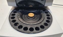 62462_1.jpg 62462_1.jpg