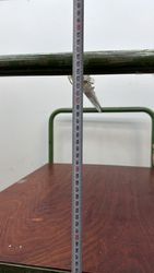 62983_6.jpg 62983_6.jpg