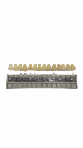 Cosmo Line Zahnfarbenschlüssel Dental A1-D4
