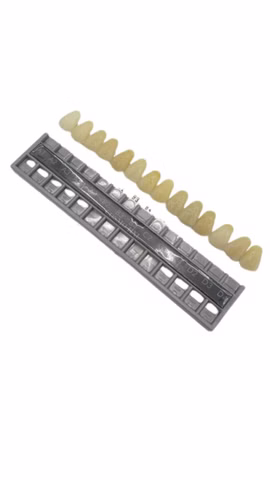 948331G Vita Indeterm Zahnfarbenschlüssel Dental A1-D4