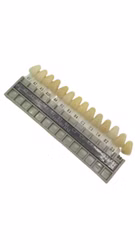 64564_5.jpg 64564_5.jpg