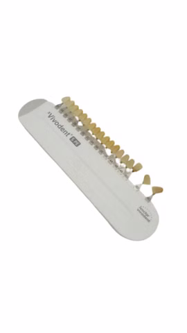 Ivoclar Vivodent PE Zahnfarbskala Dental Farbmuster