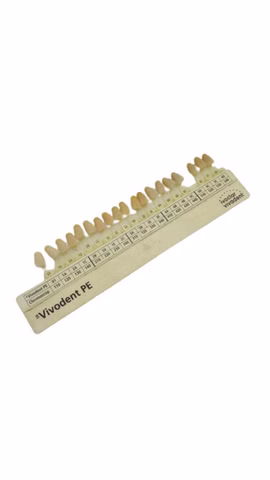 Ivoclar Vivodent PE Farbmuster Zahnfarbskala Dental