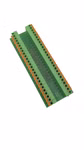 66045_7.jpg
