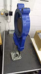 67244_5.jpg