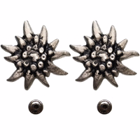 Paar 35 mm dekorative Edelweiß-Metallnieten für deutsche Kleidung und Schuhe, Vorderansicht, ideal für die Verzierung von Trachten und zum Ersetzen beschädigter Elemente.