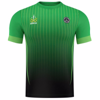 Front-View-172108010-OK102-Gruen-jersey--trikot--WM-trikot--fanartikel--Fantrikot-Fussballtrikot--fussball--Teamwear-Teamsport-OK102-Gruen.jpg