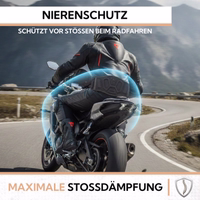 3rd-172108302-GW526B-nierengurt--motorradnierengurt--gurt--protoren-gurt--safty-gurt--Rueckenprotektor-GW526-527-528B.jpg