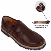 Brown-1721086393-GW1801-GL-Bayerische-Traditionsschuhe--bayerische-Haferlschuhe--dunkelbraune-Farbe--Haferlschuhe--traditionelle-deutsche-Schuhe--bayerische-Lederschuhe--seitlich-ges.jpg
