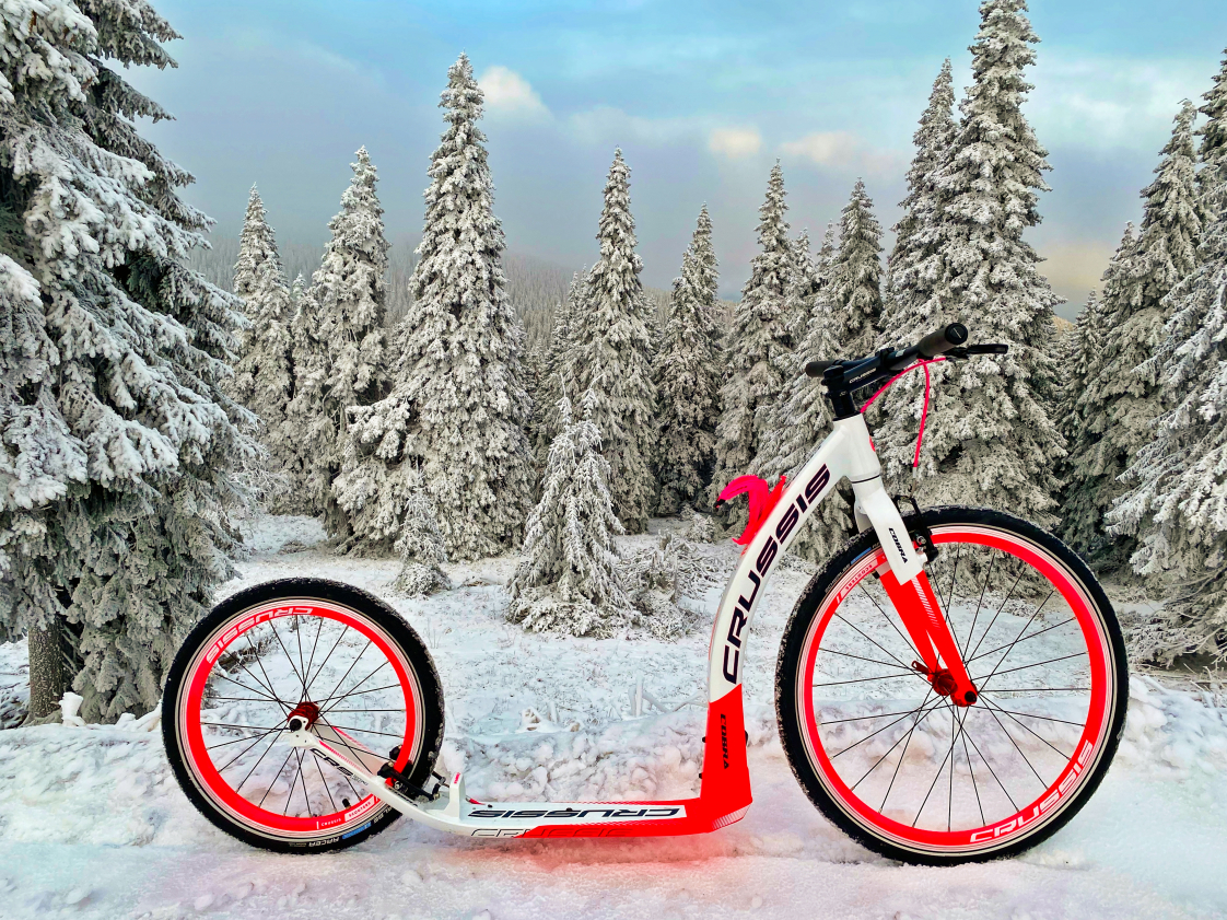 FunWheels Tretroller und Dog Scooter Shop in Oberursel Hessen FunWheels