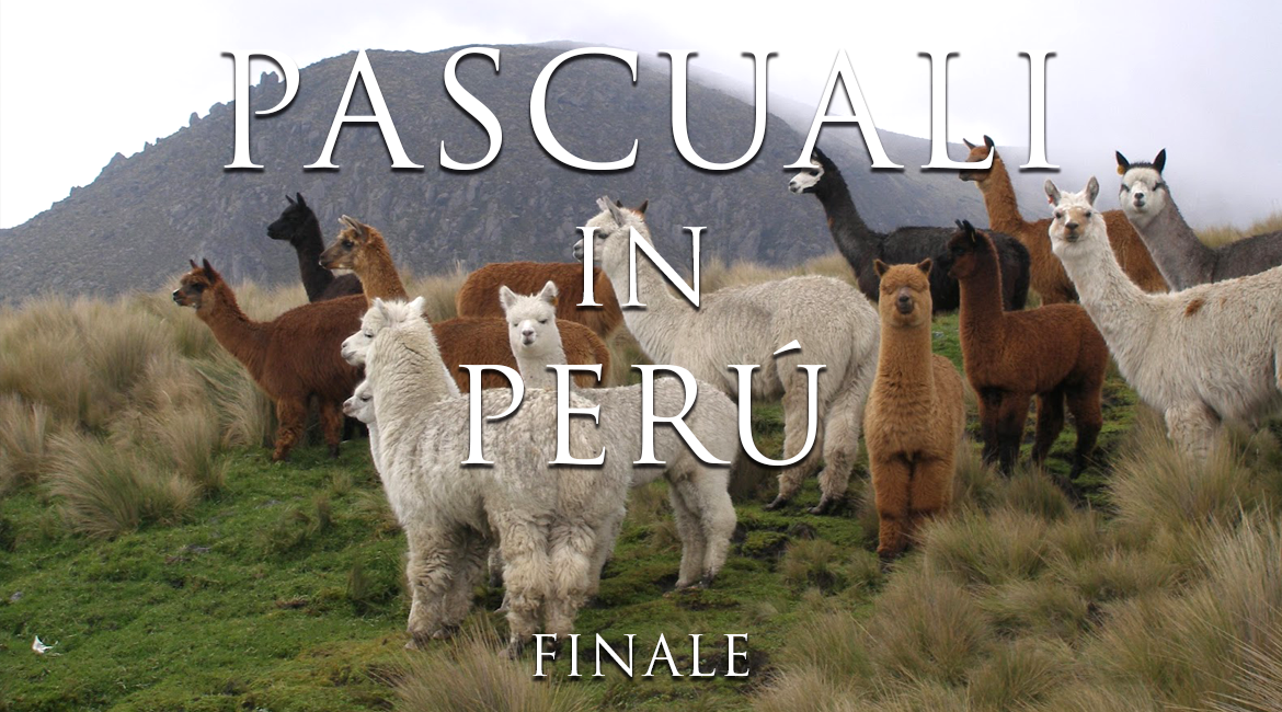 Pascuali in Peru, Finale