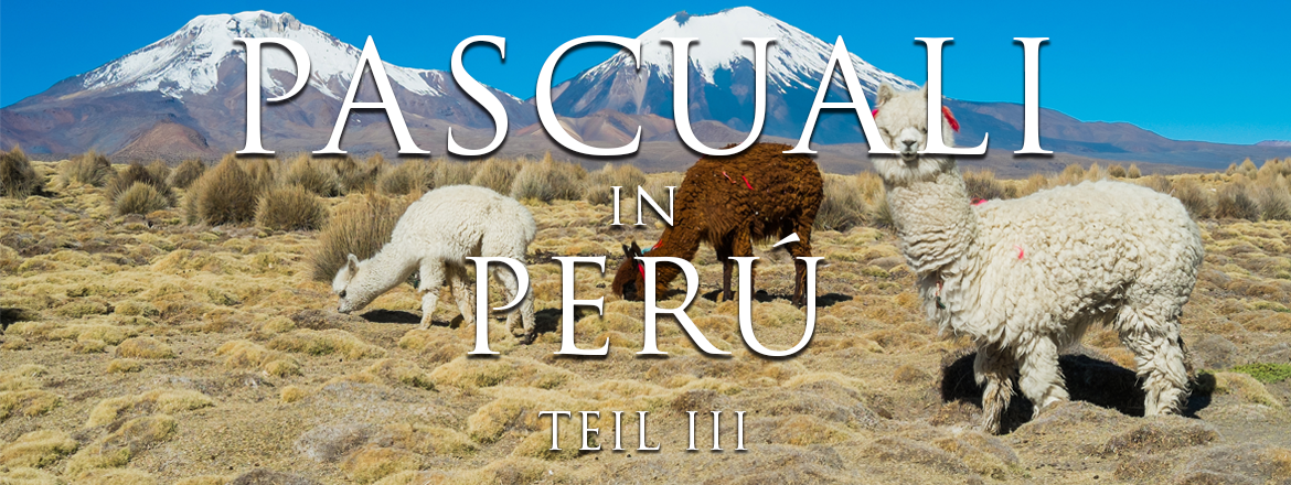 Pascuali in Peru - Teil 3