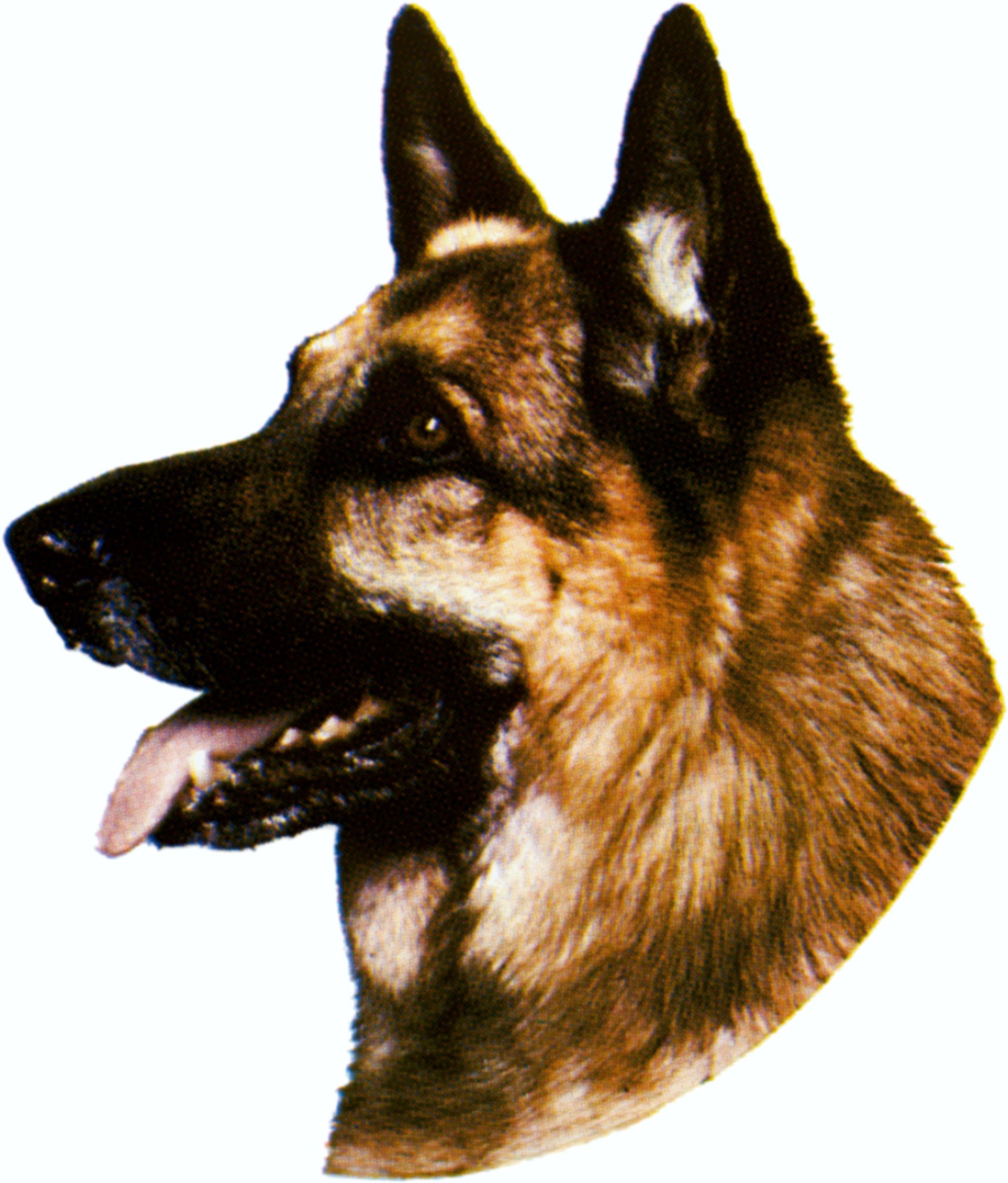 gsd sticker