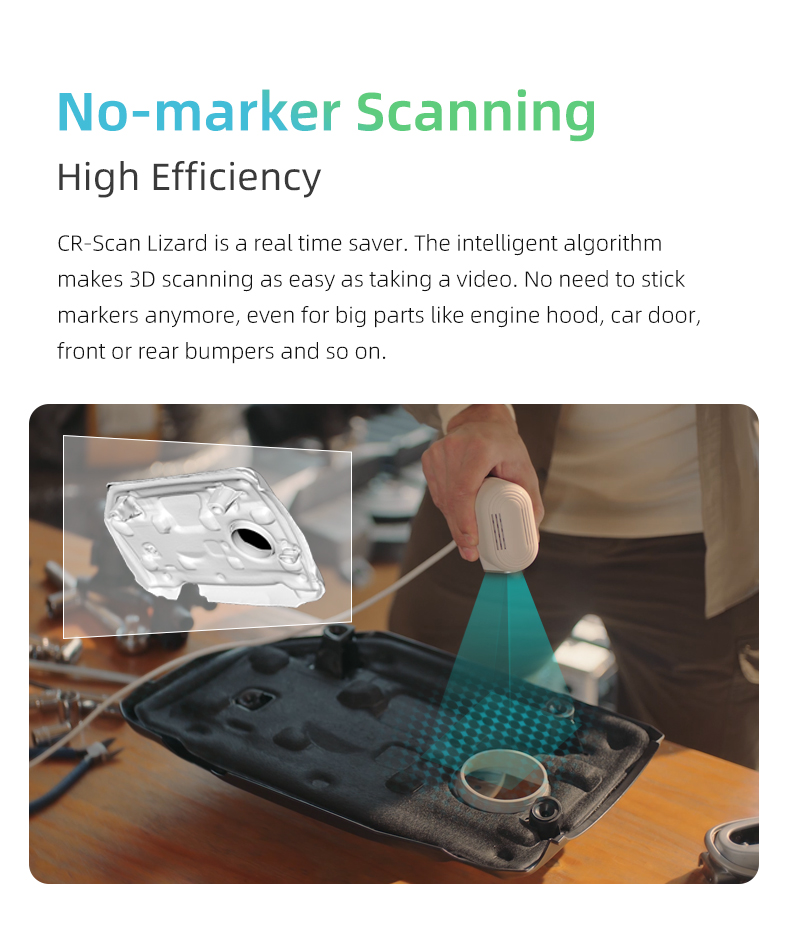 CR-Scan Lizard