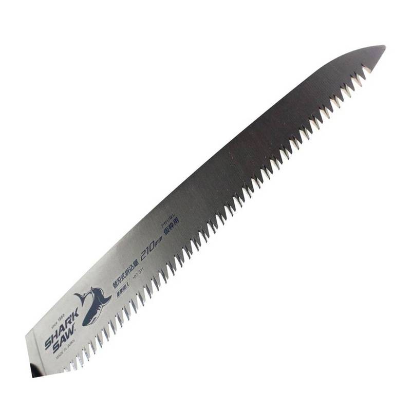Takagi-Foldable-Pruning-