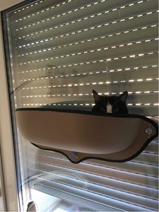 Katzenmatte Hängematte Katzen Relaxe für Fenster extra Stabil XXL