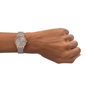Skagen SKW3060 Signatur Lille