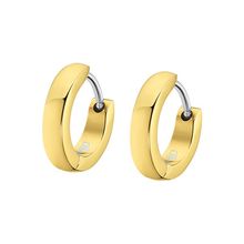 LS2226-4/1 Earrings men