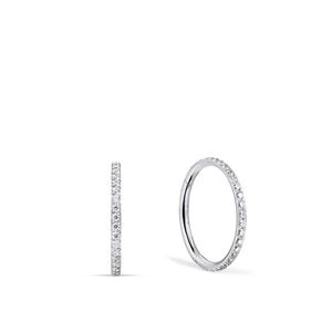 Artic Symphony 730-17-05 Earrings Ladies
