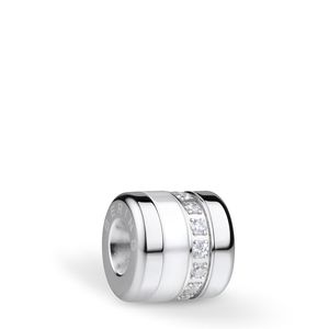 Artic Symphony BestFriend-1 Charm