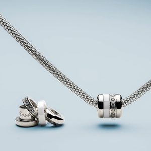 Artic Symphony BestFriend-1 Charm