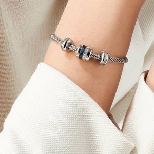 Artic Symphony Friends4Ever-1 Charm