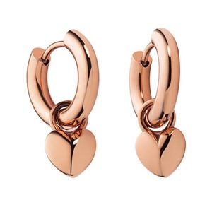 PH-JE-0168 Ocean Heart ladies earrings