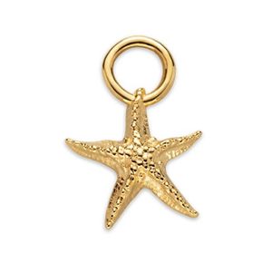 PH-JE-0426 Starfish Charm Gold