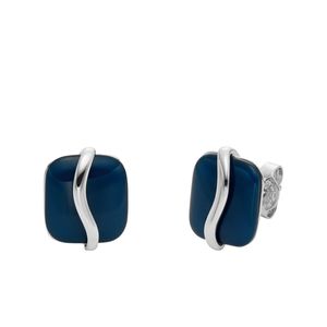 Skagen SKJ1810040 earrings ladies  