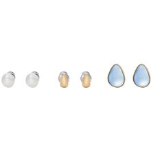 Skagen SKJB1011SET Earrings Set