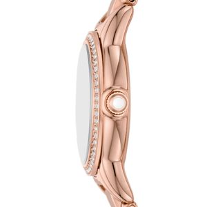 Emporio Armani AR11671 Ladies Watch