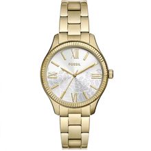 Fossil BQ3961 Rye Ladies Watch