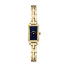 Skagen SKW3170 Hagen Micro Ladies Watch