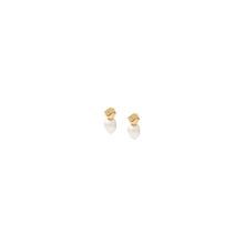 Skagen SKJ1881710 Women's Earrings – Elegant Minimalist Jewelry .