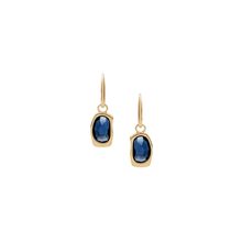 Skagen SKJ1885710 Women's Earrings – Golden Elegance with Blue Stone .
