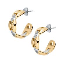 Fossil JF04930998 Elegant Women Earrings