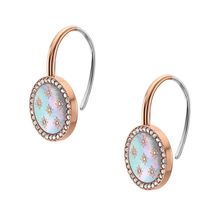 Fossil JF04938791 Ladies Earrings Elegant