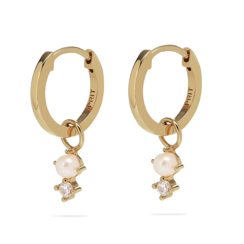 Esprit S.89041741NL Ohrringe