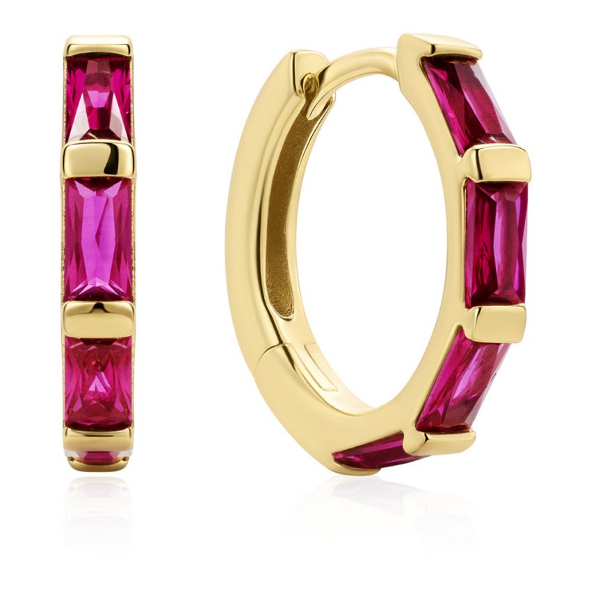 Ania Haie E071-04G Creolen